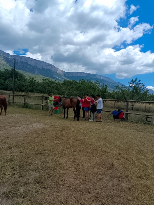 Imagen De Whatsapp 2024-07-31 A Las 18.00.51_386a2a2d