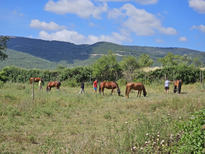 Imagen De Whatsapp 2024-07-31 A Las 18.05.09_c22eebc2