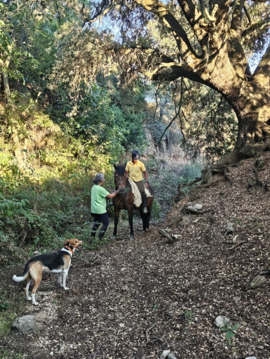 Imatge De Whatsapp 2024-09-15 A Les 20.39.57_dc5d6039