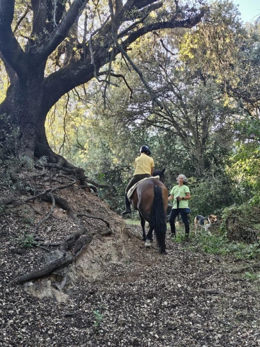 Imatge De Whatsapp 2024-09-15 A Les 20.40.01_1212b41f