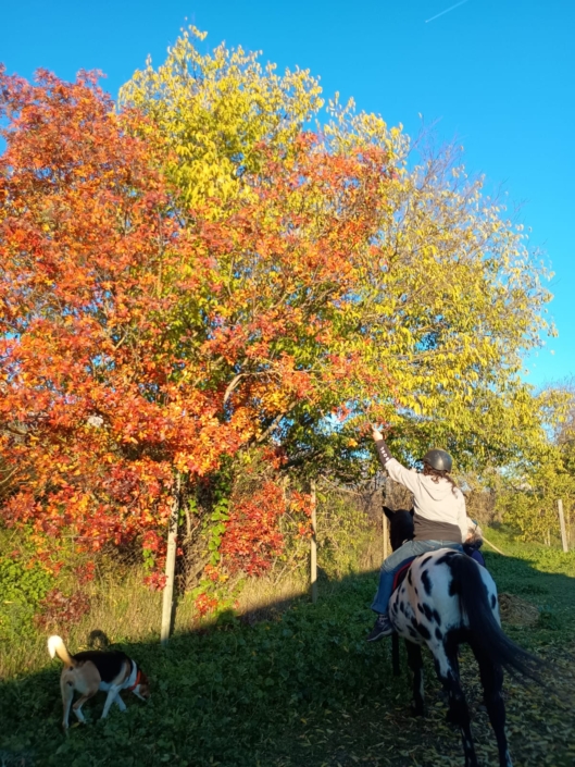 Imatge De Whatsapp 2024-11-28 A Les 19.22.33_08049ab9