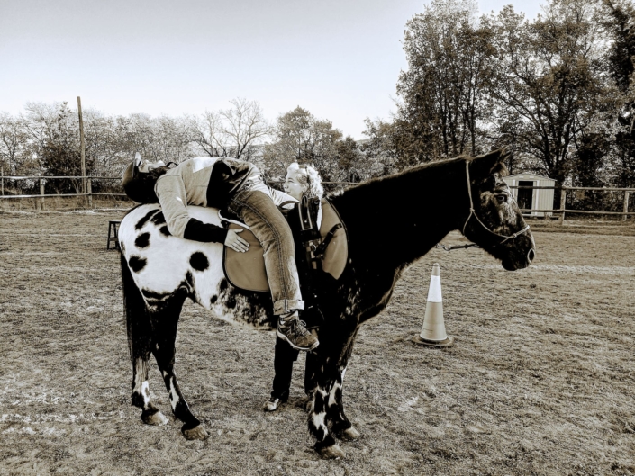 Imatge De Whatsapp 2024-11-28 A Les 19.22.34_cf0c9e01