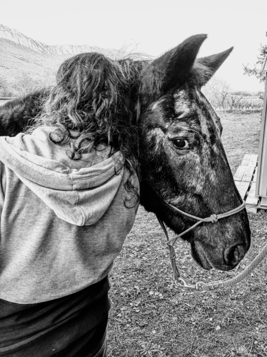 Imatge De Whatsapp 2024-11-28 A Les 19.22.35_c9dd7a95